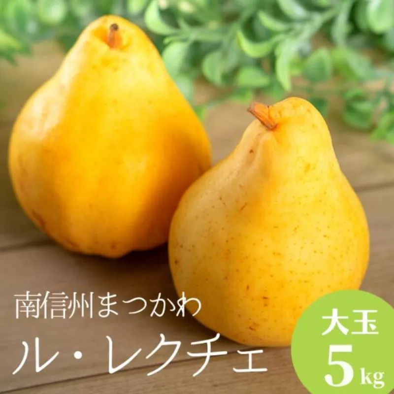 KL04 洋梨 ル・レクチェ(大玉)約5kg 贈答/2026年11月中旬頃から配送//長野県 松川町 梨 洋梨 洋ナシ ルレクチェ 産地直送 農家直送 農家支援 果物 フルーツ 贈答 ギフト