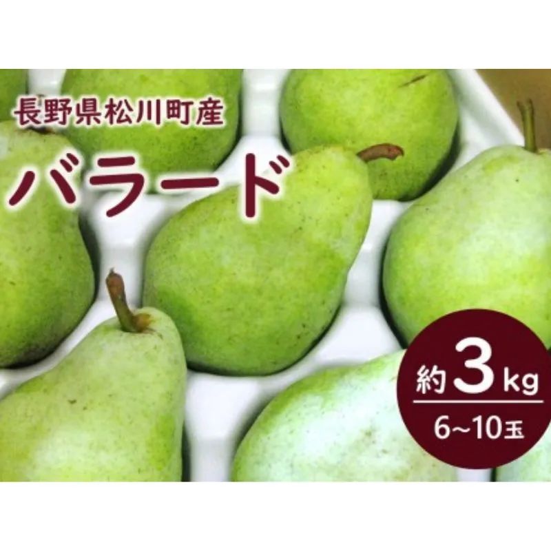 KL09 洋梨 バラード 約3kg 贈答 松川町産／2026年10月中旬頃から配送予定//長野県 松川町 梨 洋梨 洋ナシ バラード ラフランス交配品種 日本生まれ 農家直送 西洋梨 果物 フルーツ