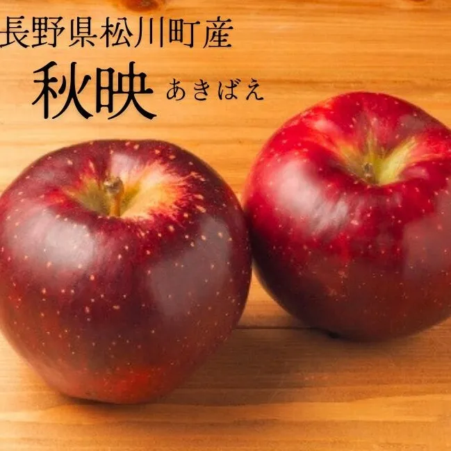KR08 りんご 秋映（大玉）約5kg 贈答 / 2026年10月上旬頃～配送予定//長野県 南信州 松川町産 ギフト リンゴ 林檎 あきばえ 農家直送 農家支援 産地直送