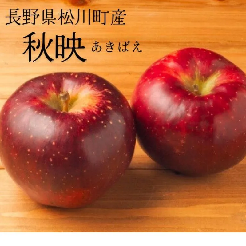 KR09 りんご 秋映(中玉)約5kg 贈答 / 2026年10月上旬頃~配送予定 //長野県 南信州 松川町産 ギフトリンゴ 林檎 あきばえ 農家直送 農家支援 産地直送