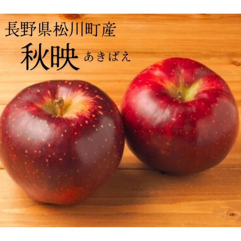 りんご 秋映 約3㎏ 贈答 / 2026年10月上旬頃～配送予定// 長野県 松川町産 ギフト 贈答 リンゴ 林檎 あきばえ 農家直送 農家支援 産地直送