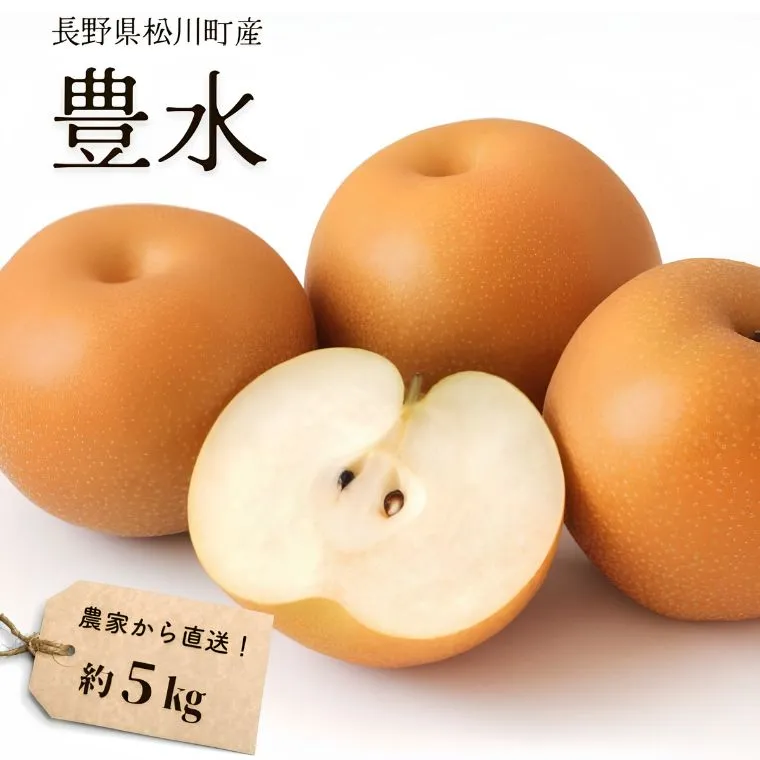 KW01 梨 豊水 約5kg（9～14玉） 松川町産 贈答／2026年9月中旬頃～配送 //長野県 南信州 松川町 和梨 梨 なし ナシ 産地直送 農家直送 農家支援 贈答 豊水 果物 フルーツ 甘い