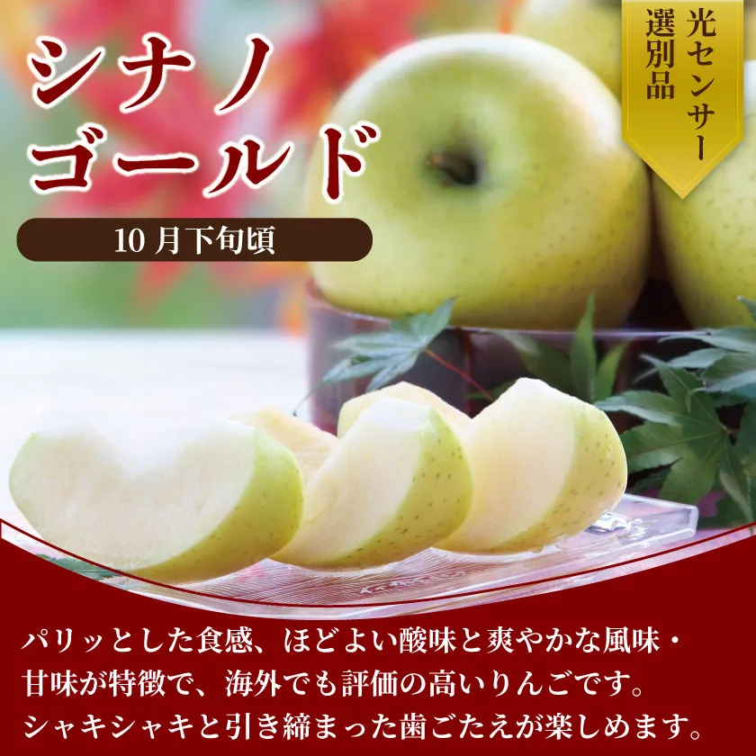 りんご シナノゴールド 約5kg ／ 2026年10月下旬～11月上旬ごろ配送予定[JA14]//長野県 糖度センサー選別 オリジナル品種 南信州産 贈答 ギフト 濃厚 甘い 酸味 かため 硬め シャキシャキ 新鮮