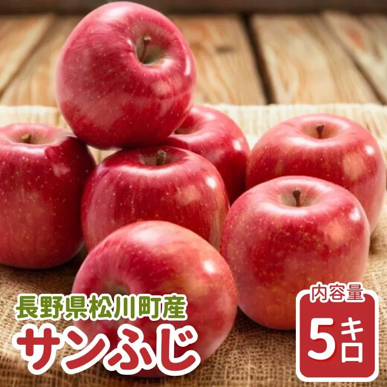 りんご サンふじ 約5kg / 2026年11月下旬～12月上旬ごろ配送予定[JA15]//長野県 南信州 贈答 ギフト お歳暮 ふじ フジ さんふじ 新鮮 林檎 リンゴ サンフジ