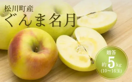 KR14 ぐんま名月 贈答 約5kg（10～16玉） 長野県松川町産／11月上旬頃～配送予定//長野県 南信州 リンゴ 林檎 ギフト 名月 農家直送 農家支援 産地直送