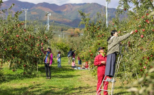 産業（農業・林業・商業・工業）の推進