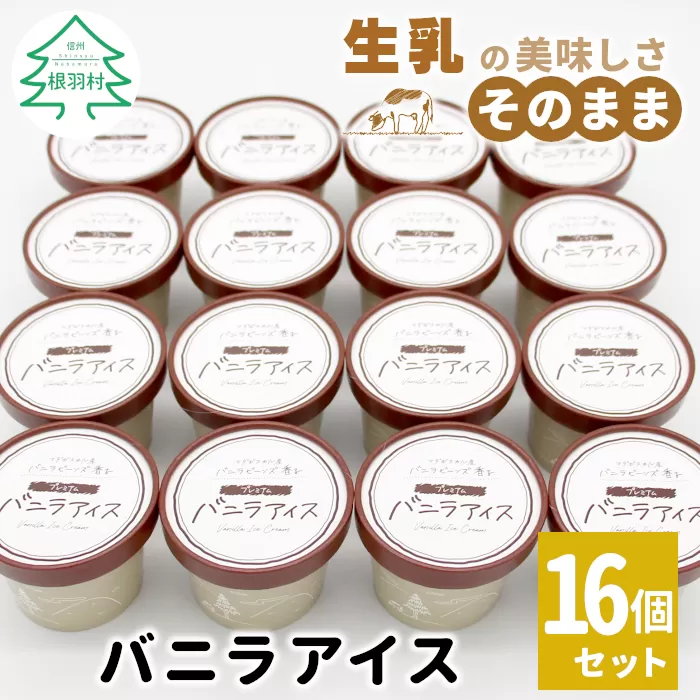 マダガスカル産 バニラビーンズ使用！バニラアイスクリーム (80ml)×16個入り バニラ ミルク スイーツ アイス おやつ 菓子 ご当地