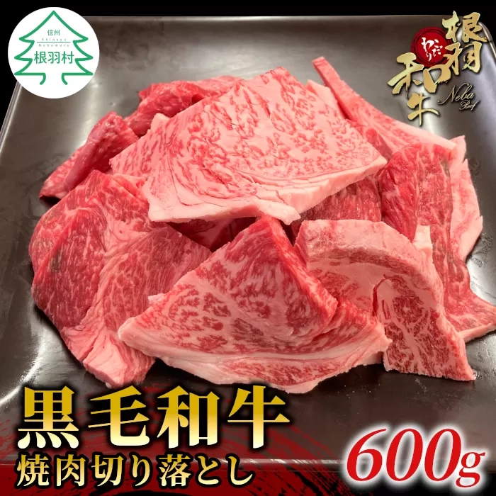 大人気！国産　黒毛和牛 根羽こだわり和牛 焼肉切り落とし 600g ギフト 贈答