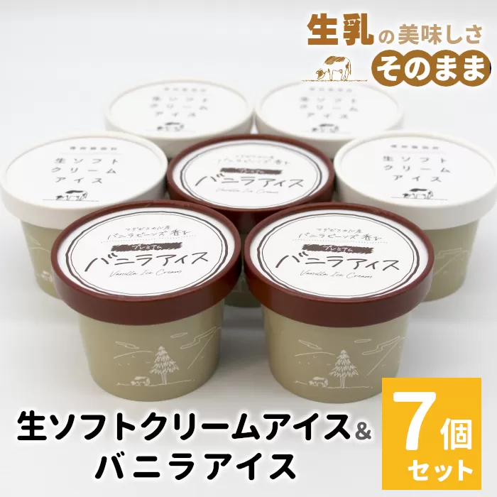食べ比べ!乳原料南信州産100%使用!生ソフトクリームアイス&バニラアイスクリーム (80ml)×7個セット アイスクリーム アイス フレーバー