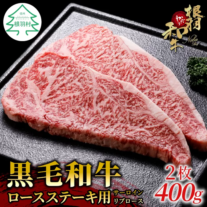 根羽こだわり和牛　ロースステーキ用(サーロイン・リブロース)　200g×2枚 黒毛和牛 国産 ギフト 贈答