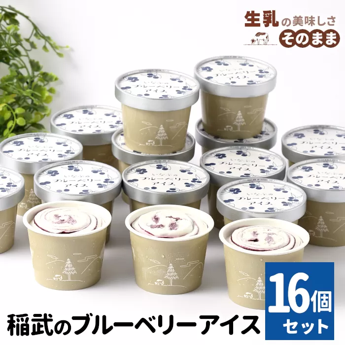 無農薬!皮ごと使用!30品種をブレンドした ブルーベリー アイス(80ml)×16個入り スイーツ アイス おやつ ギフト 贈答用 ご当地