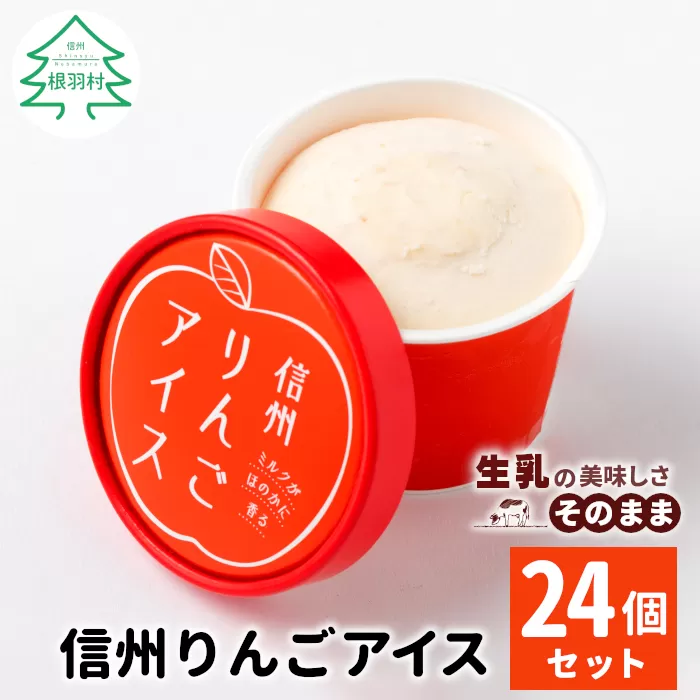 期間限定！信州りんごアイス たっぷり24個入り アイスクリーム 10000円 10,000円