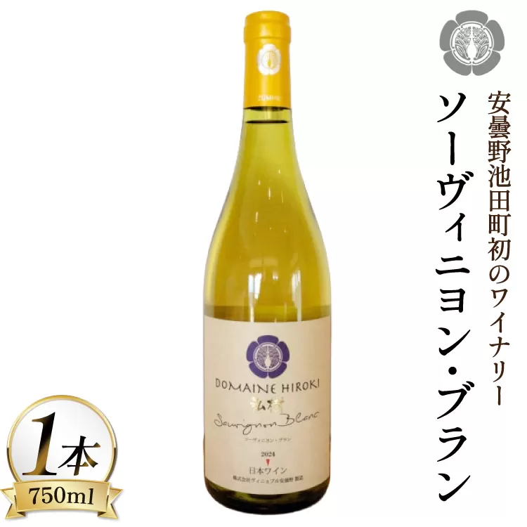 ワイン 白ワイン ソーヴィニヨン・ブラン 750ml 1本 [ヴィニョブル安曇野 長野県 池田町 48110838] 白ワイン 白 わいん お酒 酒 Wine ソーヴィニヨン 辛口 長野 長野県産
