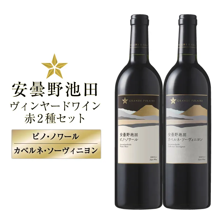 赤ワイン セット サッポログランポレール 安曇野池田ヴィンヤードワイン 赤2種セット 750ml 計2本 [ナチュラルマルシェ ソヨソヨ 長野県 池田町 48110928] 酒 お酒 アルコール 赤 赤ワイン 国産 あるこーる ぶどう 特別 フルボディ ミディアムボディ 料理 セット
