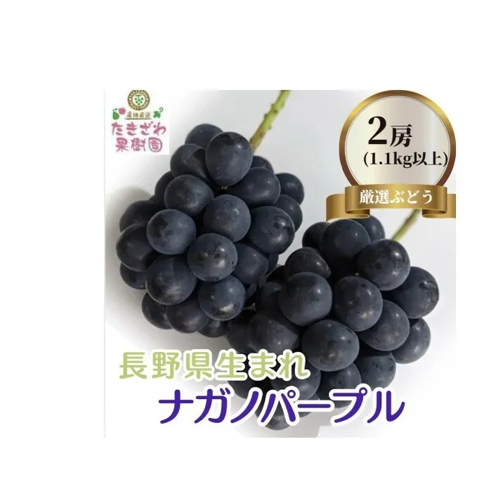 ナガノパープル 約1.1kg以上 2房～3房 たきざわ果樹園 ぶどう 長野 マスカット ブドウ フルーツ 果物 【 果物類 】 