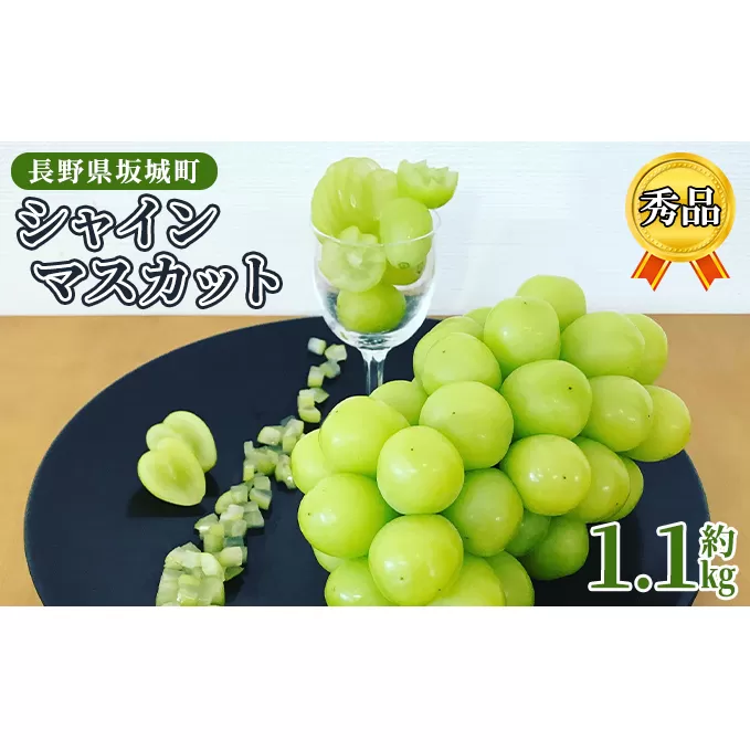 シャインマスカット 約1.1kg 房 秀品 赤坂果樹園 ぶどう 長野 マスカット ブドウ フルーツ 果物 シャイン【 果物類 】 長野県産 
