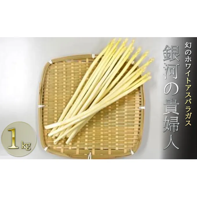 信州・坂城産　ホワイトアスパラガス「銀河の貴婦人」サイズS・M・Lセット　約1kg 野菜 約1kg 