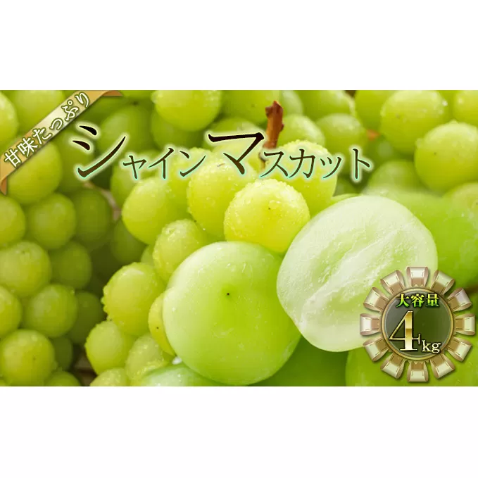 シャインマスカット 4kg 果物類 ぶどう フルーツ 4kg 