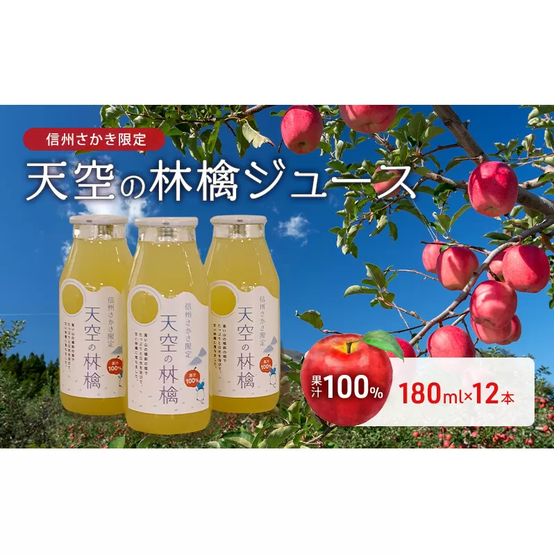 坂城町産りんご「天空の林檎」果汁100%りんごジュース　180ml12本入り 飲料類 果汁飲料 アップルジュース 飲み物 ソフトドリンク 爽やか 