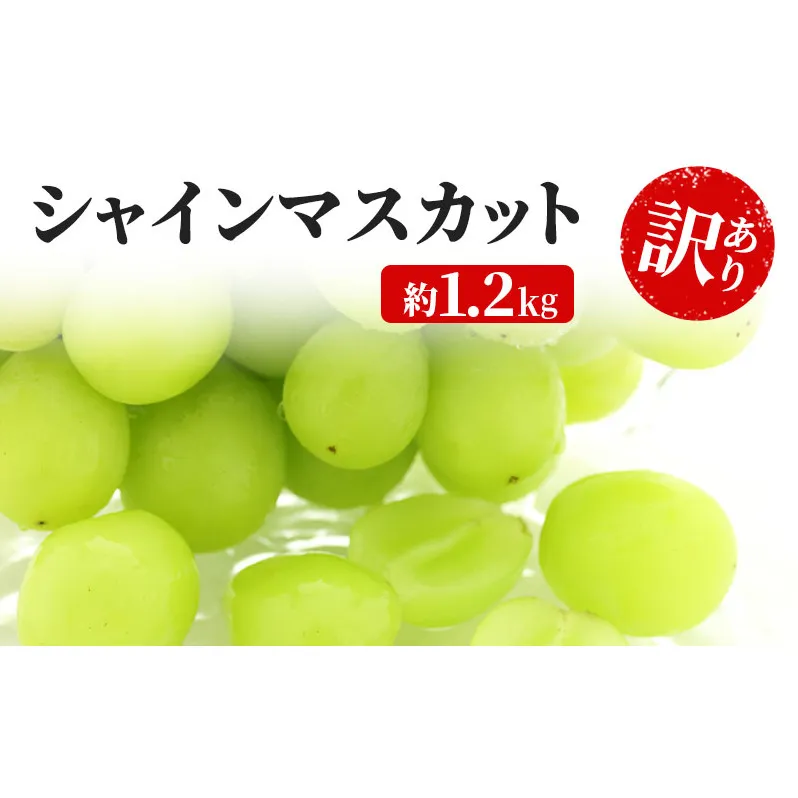 訳あり シャインマスカット 約1.2kg 粒 YANAGISAWA ぶどう 長野 マスカット ブドウ フルーツ 果物 シャイン 果物類 
