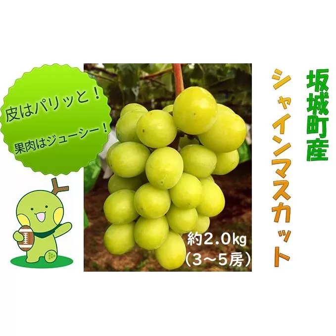 シャインマスカット 約2kg 3房～5房 YANAGISAWA ぶどう 長野 マスカット ブドウ フルーツ 果物 シャイン【 果物類 】 葡萄 約2.0kg 