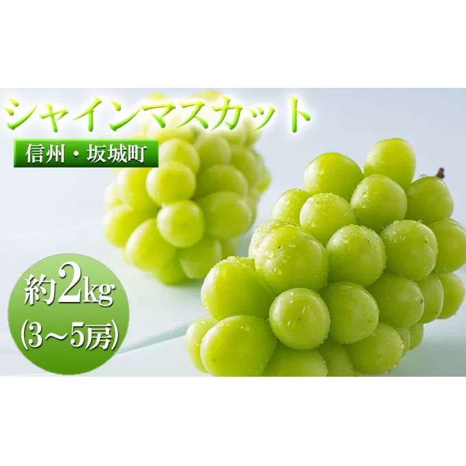 宮原農園のシャインマスカット　約2kg (3～5房) 果物類 ぶどう ブドウ フルーツ 葡萄 約2kg 