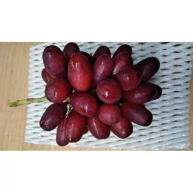 クイーンセブン約1kg（3～4房） 果物 もも 桃 フルーツ モモ 