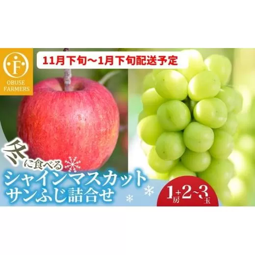 冬に食べるシャインマスカットとサンふじ詰合せ 1房（約500g） 2～3玉［おぶせファーマーズ］ ぶどう りんご 林檎 リンゴ 果物 フルーツ  長野 信州 数量限定 令和7年産【2025年11月下旬～2026年1月下旬発送】