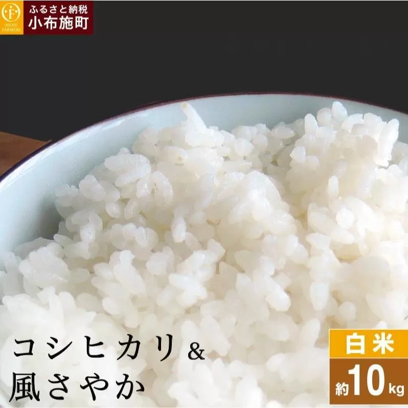 コシヒカリ＆風さやか 食べ比べ 約10kg ［ おぶせファーマーズ ］ お米 コメ おこめ ご飯 精米 長野県産 2種  ［FK-29］