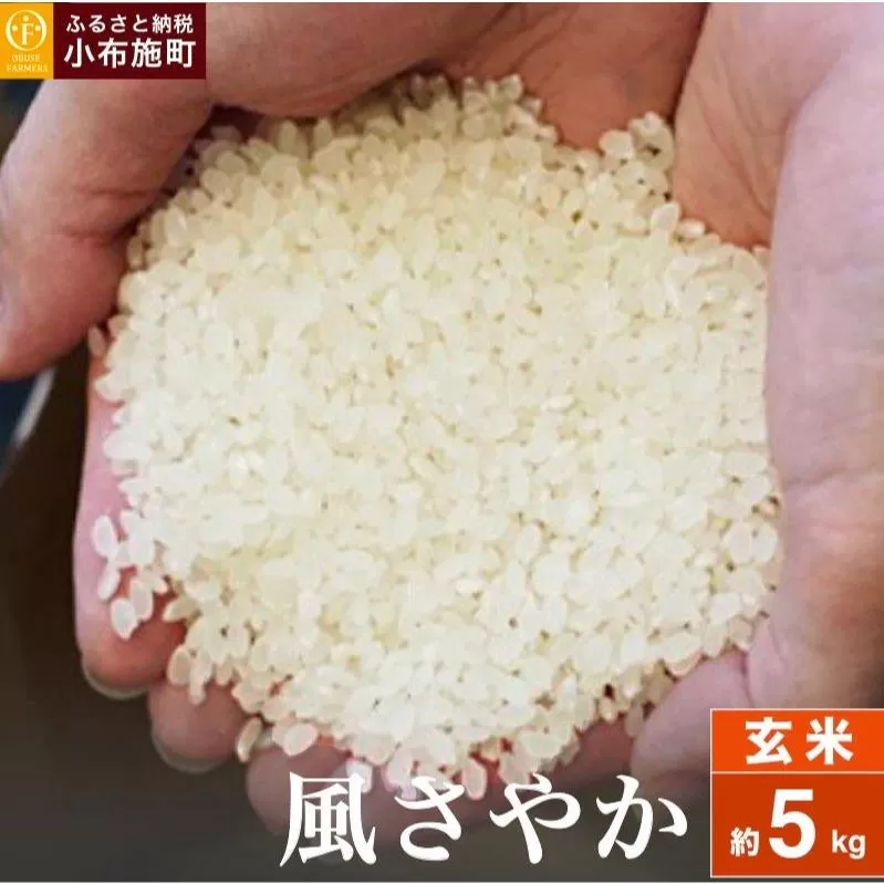 風さやか 玄米  約5kg ［ おぶせファーマーズ ］ お米 コメ おこめ ご飯 精米 長野県産 ［FK-19］