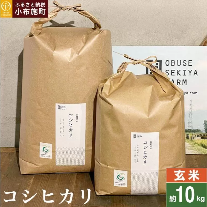 コシヒカリ 玄米  約10kg ［ おぶせファーマーズ ］ お米 コメ おこめ ご飯 精米 長野県産 ［FK-14］