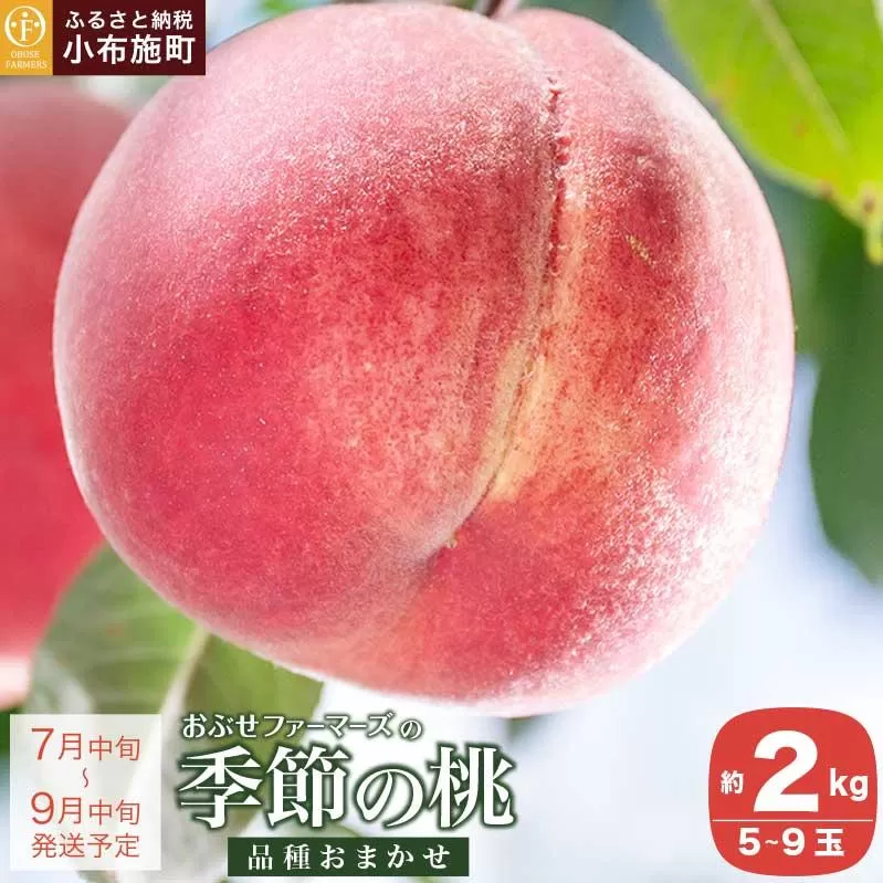 季節の桃 約2kg 5～9玉 ［ おぶせファーマーズ ］ モモ ピーチ フルーツ 果物 あかつき 川中島白鳳 なつっこ 川中島白桃 黄金桃 だて白桃 先行予約 長野県産 クール便 冷蔵便 産地直送 令和8年産【2026年7月中旬～9月中旬発送】