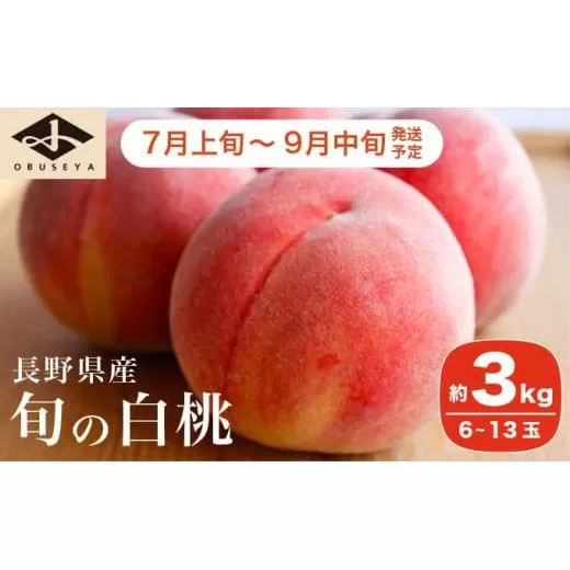 旬の白桃 約3kg 6～13玉 ［小布施屋］ 長野県産 白桃 もも モモ フルーツ 果物 長野県産 信州産 クール便 冷蔵便 たまき なつき あかつき 川中島白鳳 川中島白桃など 令和8年産 【2026年7月上旬～9月中旬発送】