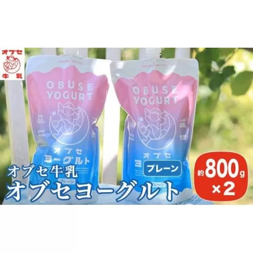 オブセヨーグルト (プレーン) 2個セット［オブセ牛乳］ヨーグルト 乳製品 食品  お取り寄せ グルメ 生乳100% 朝食 スイーツ おやつ 冷蔵 長野県小布施町産［G-41］