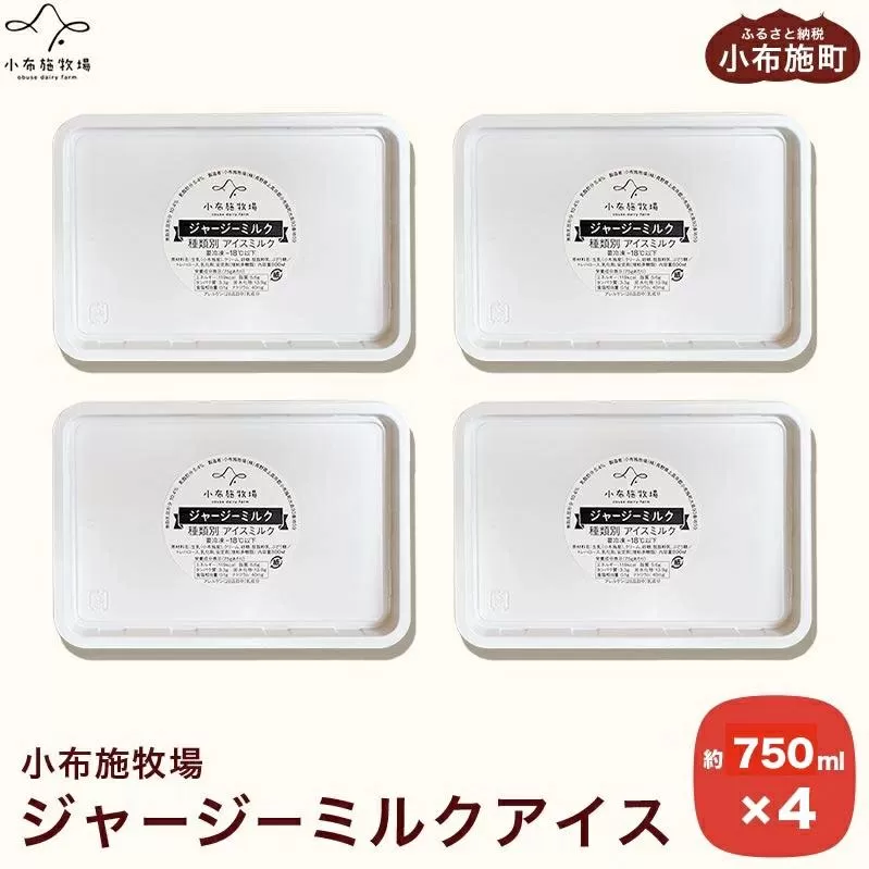 小布施牧場ジャージーミルクアイス 750ml × 4個 ［小布施牧場］アイスミルク アイス スイーツ デザート 菓子 お取り寄せ［B-8］