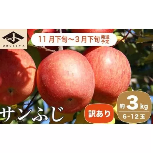 【訳あり】 サンふじ  約3kg 6～12玉［小布施屋］ りんご 林檎 リンゴ 不揃い 規格外 果物 くだもの フルーツ 長野県 特産 産地直送 産直 数量限定 生産者応援 支援 家庭用 令和7年産 【2025年11月下旬～2026年3月下旬発送】