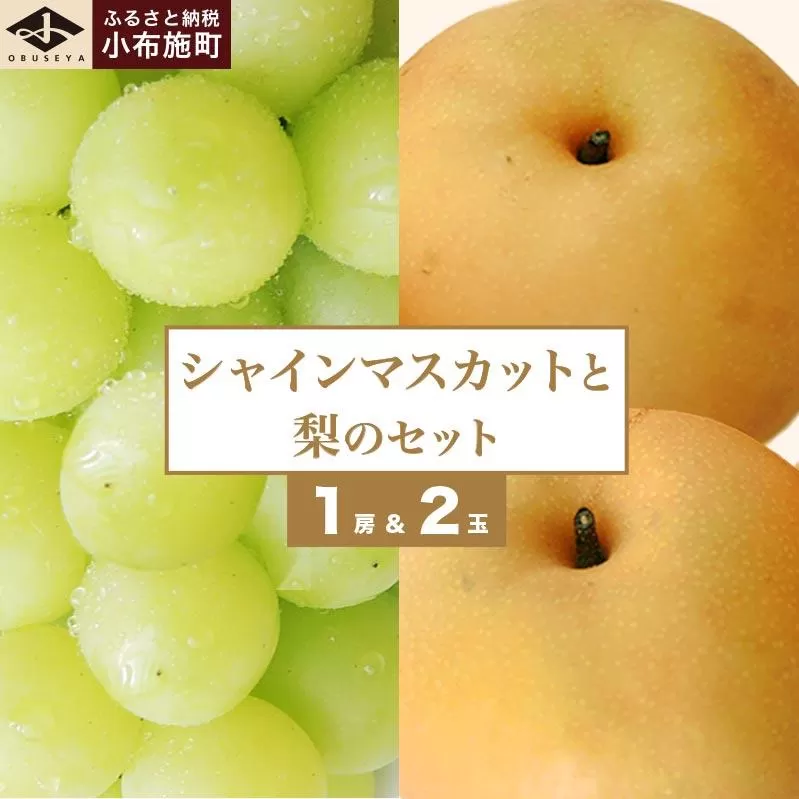 シャインマスカット1房と梨2玉 詰め合わせ ［小布施屋］果物 詰合せ セット フルーツ ぶどう なし シャインマスカット 先行予約 期間限定 冷蔵便 クール便 数量限定 長野県産 信州産 令和8年産 【2026年9月中旬頃～10月下旬頃まで順次発送】 ［A-306］