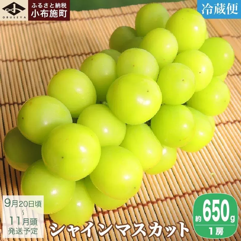 シャインマスカット 約650g 1房 ［小布施屋］ フルーツ 果物 くだもの ぶどう 葡萄 ブドウ 数量限定 クール便配送 長野県産 産地直送 先行予約 送料無料 2026 2026年発送 令和8年産 【2026年9月20日頃～11月頭にかけて順次発送】