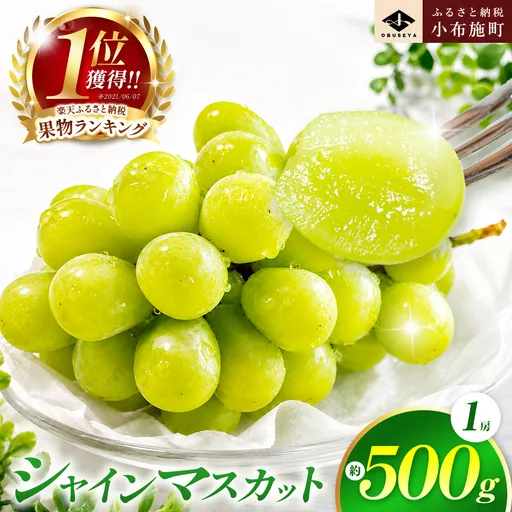 シャインマスカット 約500g 1房 ［小布施屋］ フルーツ 果物 くだもの ぶどう 葡萄 ブドウ 数量限定 クール便配送 長野県産 産地直送 先行予約 送料無料 2026 2026年発送 令和8年産 【2026年9月20日頃～11月頭にかけて順次発送】