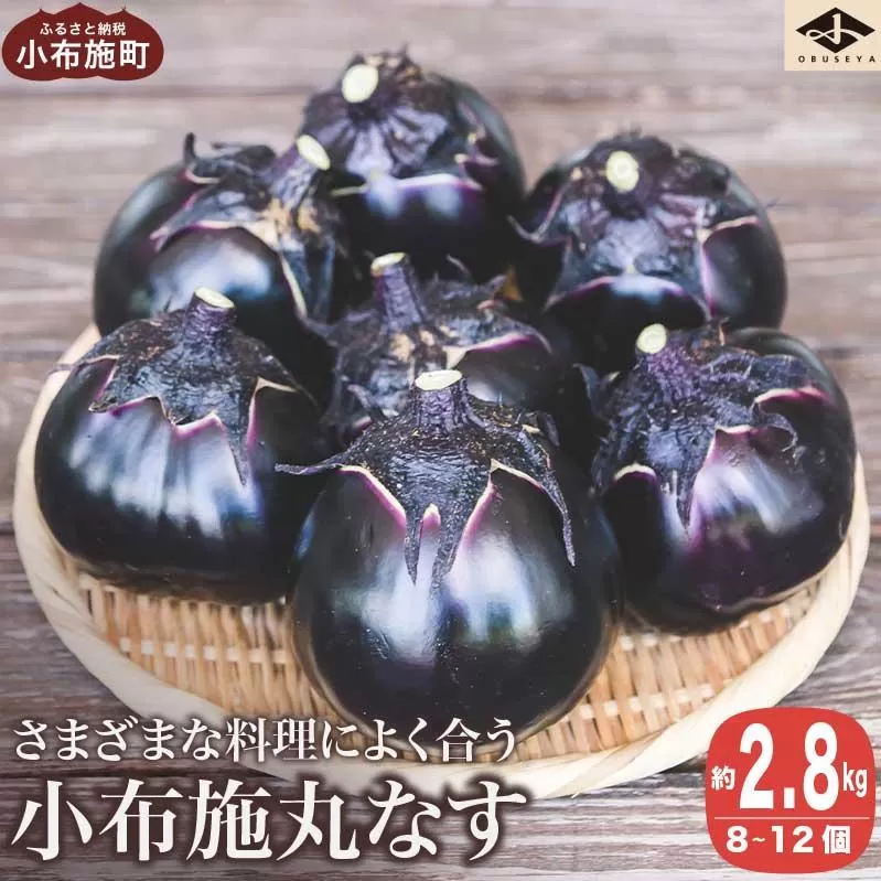 小布施丸なす 約2.8kg 8～12個 ［小布施屋］ 茄子 ナス 信州 伝統野菜 やさい 長野県産 お取り寄せグルメ 食品 数量限定 期間限定 【2026年8月～10月上旬発送】 ［A-227］