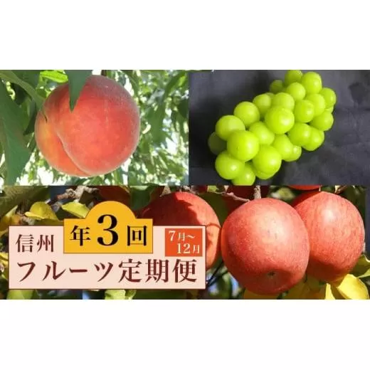 ［3回定期便］ 信州のフルーツ3回コース［小布施屋］定期便 先行予約 フルーツ 数量限定 白桃 シャインマスカット ぶどう りんご お楽しみ 3回お届け 長野県産 信州産 令和8年産 【2026年7月～12月発送】