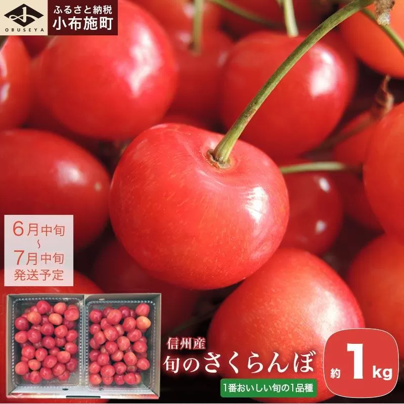 旬のさくらんぼ 佐藤錦、紅秀峰、紅佐藤、紅香、サミット 約1kg［小布施屋］サクランボ くだもの 果物 フルーツ チェリー バラ詰め 長野県産 信州産 数量限定 令和8年産【2026年6月中旬～7月中旬発送】