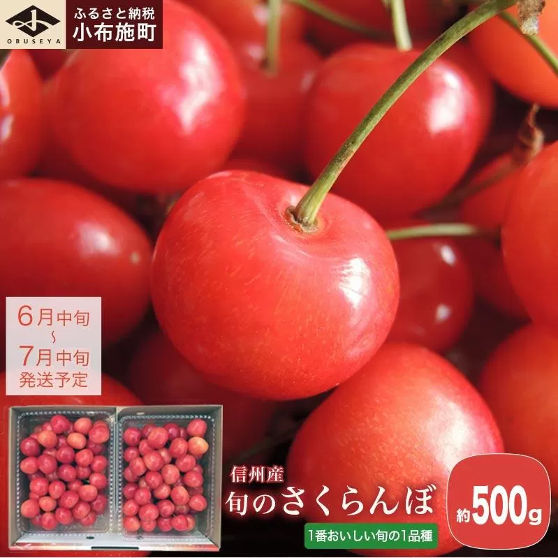 旬のさくらんぼ 約500g［小布施屋］ 佐藤錦、紅秀峰、紅佐藤、紅香、サミット など くだもの 果物 サクランボ バラ詰め 令和8年産 【2026年6月中旬～7月中旬発送】