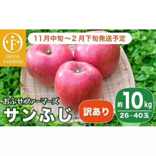 【訳あり】 サンふじ 約10kg 26〜40玉 ［おぶせファーマーズ］ 果物 フルーツ りんご 不揃い 規格外 家庭用 林檎 リンゴ ふじ 長野県 信州 数量限定 令和7年産 【2025年11月中旬〜2026年2月下旬発送】