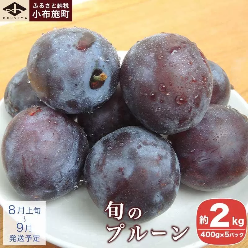 長野県産 旬のプルーン 約2kg ［小布施屋］ 生プルーン 果物 フルーツ 令和8年産 【2026年8月上旬～9月発送】 ［A-219］