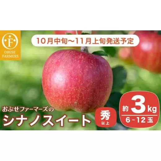 シナノスイート 秀以上 約3kg 6～12玉［おぶせファーマーズ］ りんご 林檎 リンゴ 果物 フルーツ 長野 信州 先行予約 数量限定 令和7年産 【2025年10月中旬～11月上旬発送】