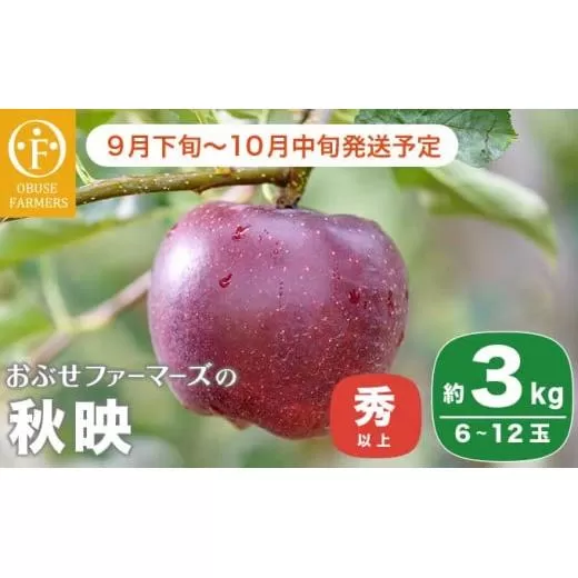 秋映 秀以上 約3kg 6～12玉 ［おぶせファーマーズ］ りんご 林檎 リンゴ 果物 フルーツ 長野県産 信州産 先行予約 数量限定 令和7年産 【2025年9月下旬～10月中旬発送】