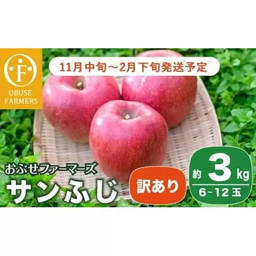 【訳あり】 サンふじ 約3kg 6〜12玉［おぶせファーマーズ］ 不揃い 規格外 家庭用 りんご 林檎 リンゴ 果物 フルーツ ふじ 長野 信州 数量限定  【2025年11月中旬〜2026年2月下旬発送】