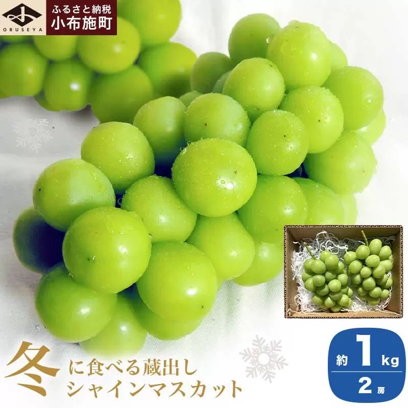 蔵出し冬のシャインマスカット 約1kg 2房 ［小布施屋］ぶどう フルーツ 果物 くだもの 長野県 先行予約 冷蔵便 クール便  産地直送 令和7年産【2025年11月中旬～2026年2月発送】