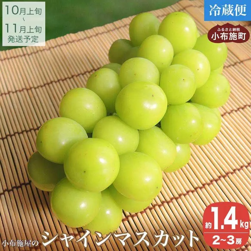 シャインマスカット 約1.4kg 2～3房 ［小布施屋］ フルーツ 果物 くだもの ぶどう 葡萄 ブドウ クール便配送 長野県産 産地直送 2026年発送 令和8年産 【2026年10月上旬～11月上旬にかけて順次発送】